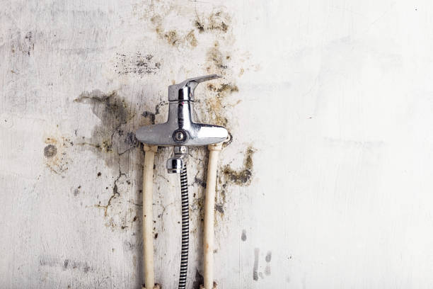 Best Water Damage Restoration  in Meade, KS