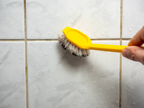 Best Same-Day Mold Removal  in Meade, KS
