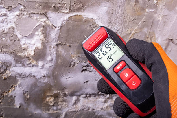 Best Mold Testing  in Meade, KS