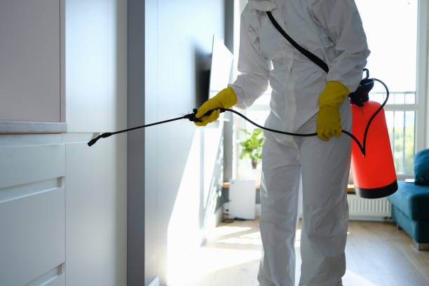 Best Toxic Mold Removal  in Meade, KS