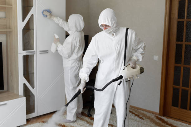 Best Mold Remediation  in Meade, KS