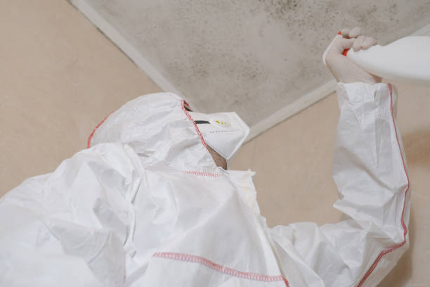 Certified Mold Removal in Meade, KS